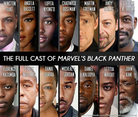 is black panther marvel or dc|black panther real name.